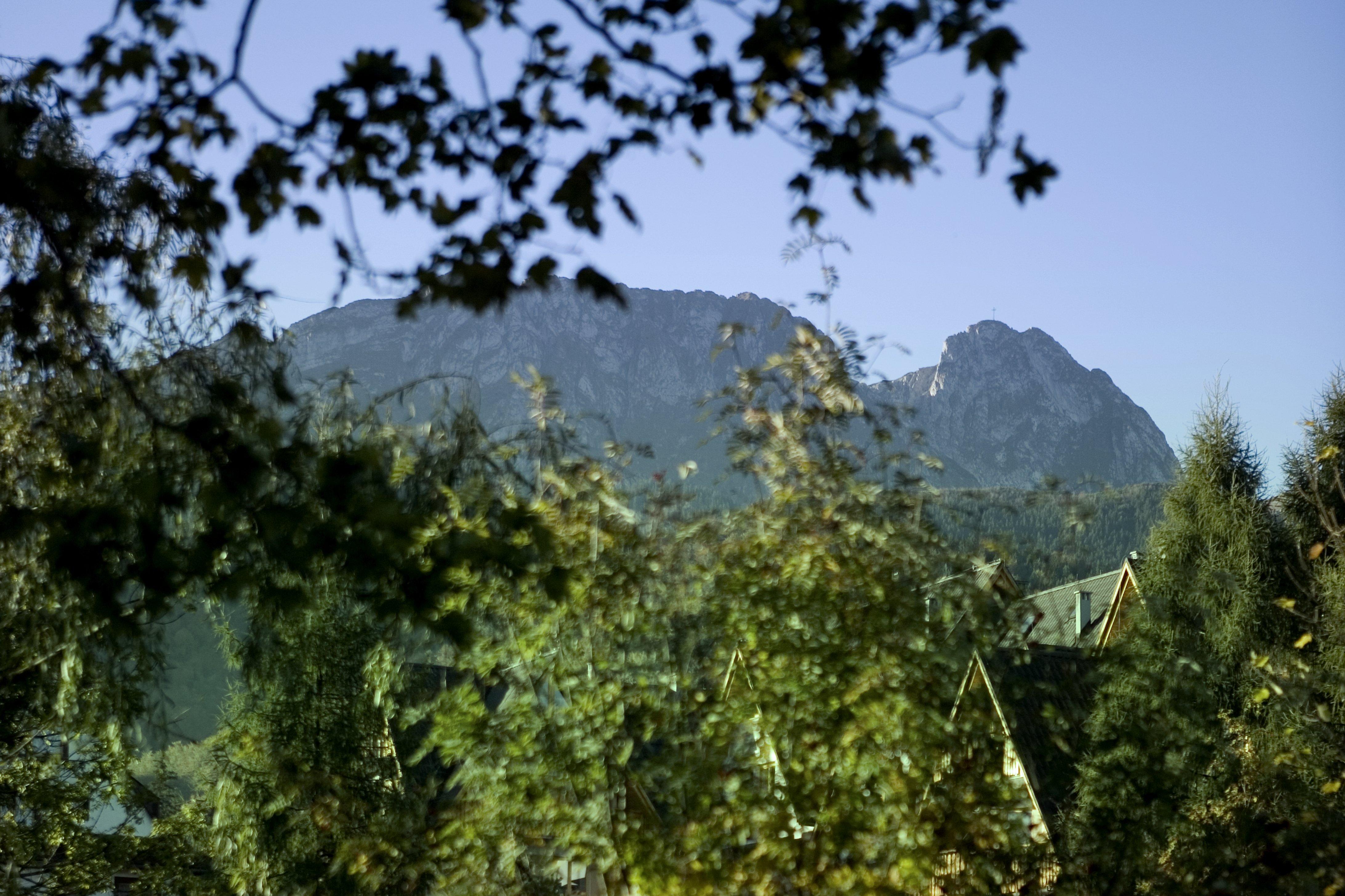 Szarotka Hotel Zakopane Ngoại thất bức ảnh