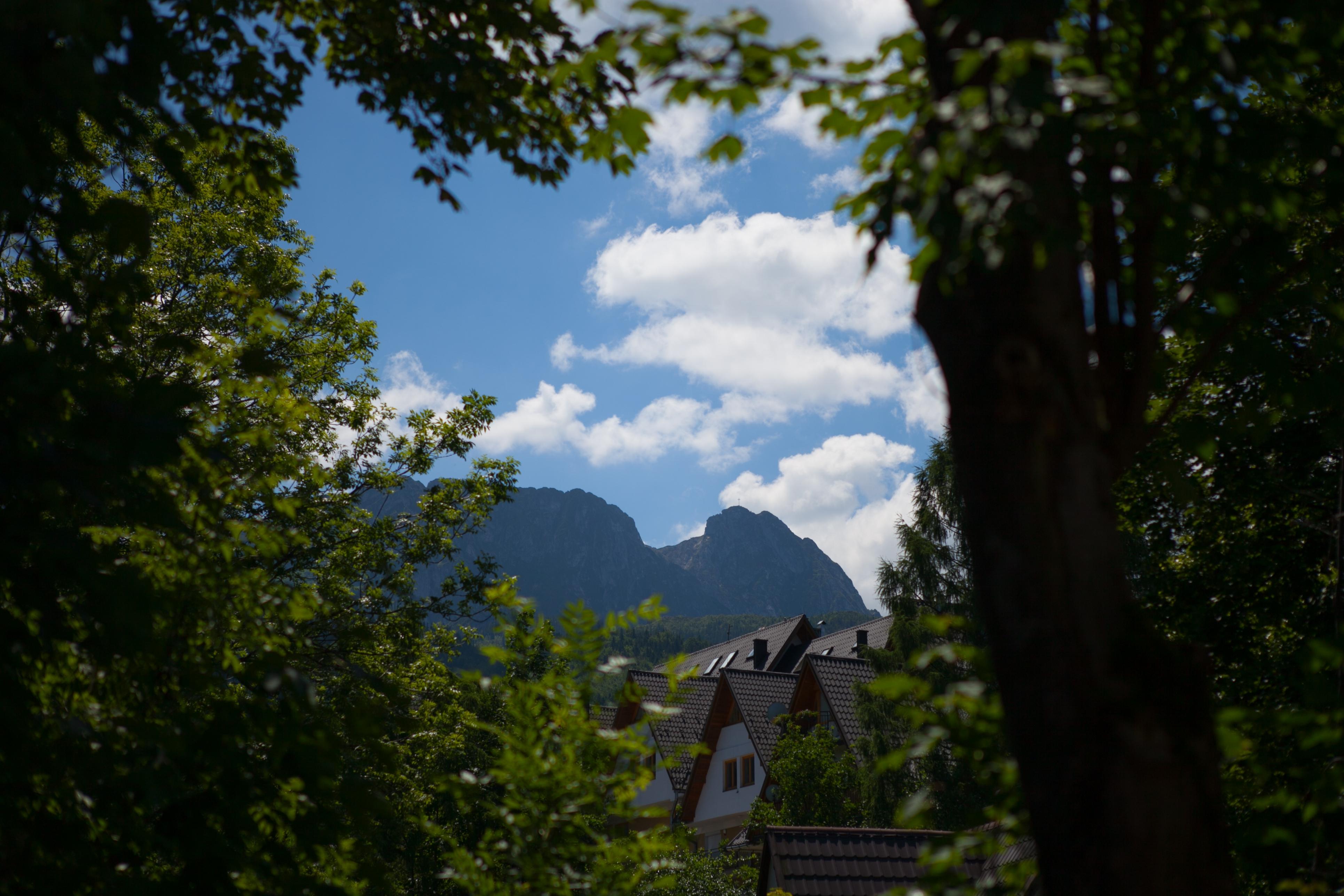 Szarotka Hotel Zakopane Ngoại thất bức ảnh