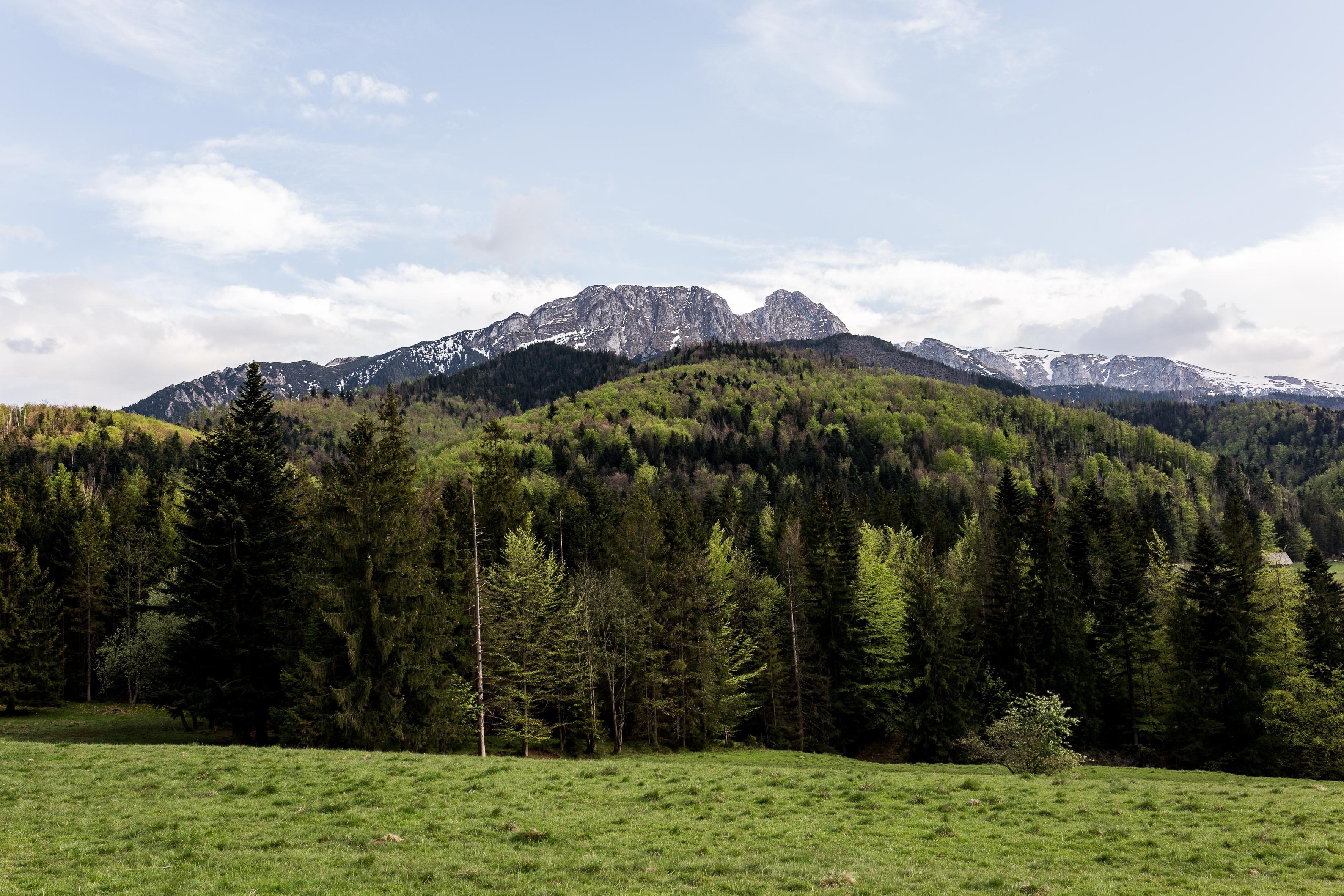 Szarotka Hotel Zakopane Ngoại thất bức ảnh